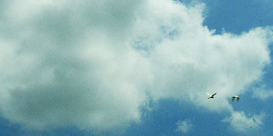 090523016.jpg